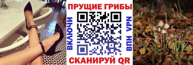 Псилоцибиновые грибы Magic Shrooms  купить наркоту  kraken tor  Златоуст 