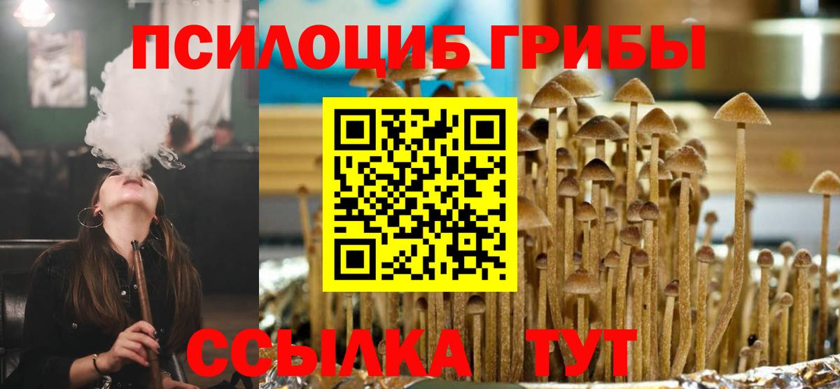 Галлюциногенные грибы прущие грибы  Вход с VPN  Галлюциногенные грибы Cubensis  Златоуст 