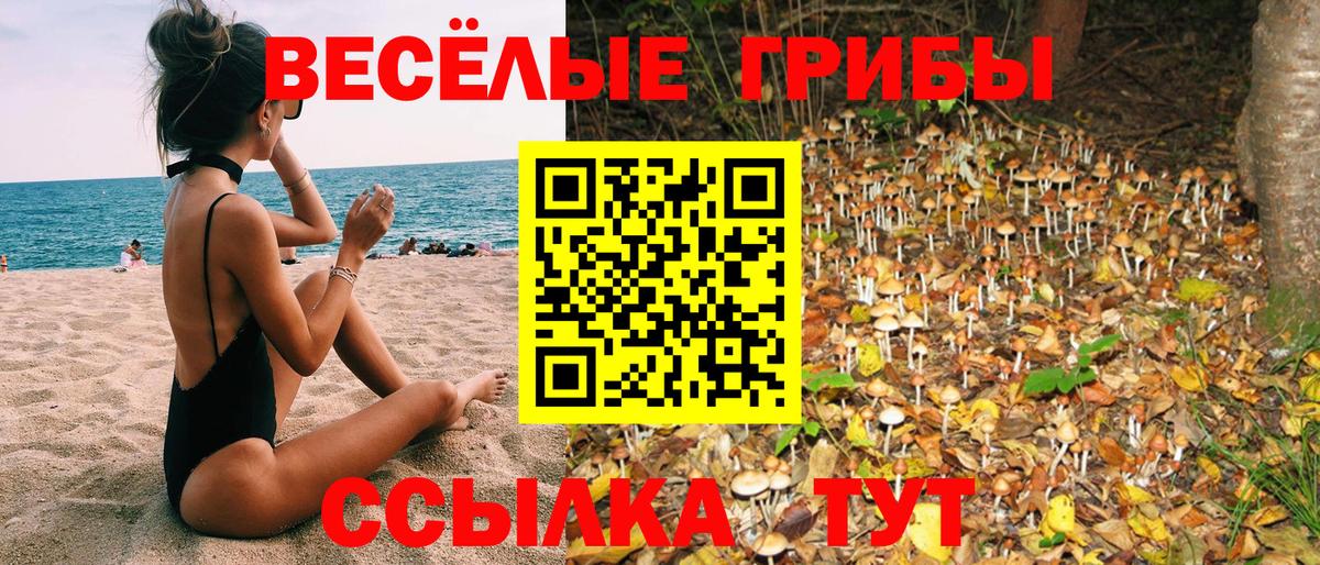 Галлюциногенные грибы Magic Shrooms Златоуст